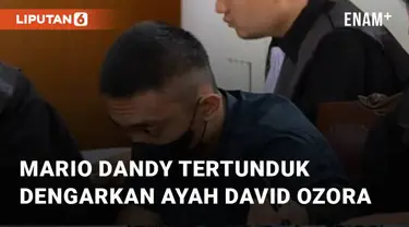 Pada Selasa (13/6/2023), sidang penganiayaan David Ozora dilanjutkan di PN Jakarta Selatan. Saksi yang dihadirkan adalah ayah David, yaitu Jonathan Latumahina