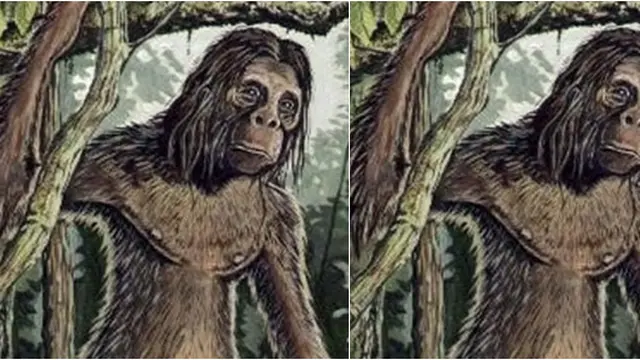 Courtesy Guardian.co.uk