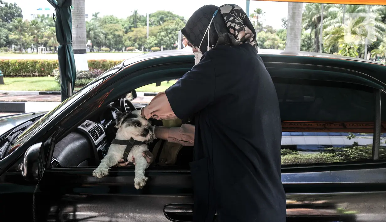 Petugas medis Sudin KPKP Jakarta Timur menggelar vaksinasi rabies drive thru di halaman Kantor Wali Kota Jakarta Timur, Selasa (28/9/2021). Kegiatan vaksinasi rabies secara drive thru ini bertujuan mencegah kerumunan serta penyebaran virus Covid-19. (merdeka.com/Iqbal S Nugroho)