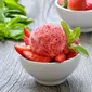 ilustrasi sorbet/Nadezhda Nesterova/Shutterstock