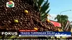 Desa Rengel di Tuban, sejak lama dikenal sebagai penghasil buah salak yang manis. Menjelang panen, warga di Desa Rengel ini punya tradisi yang unik.
