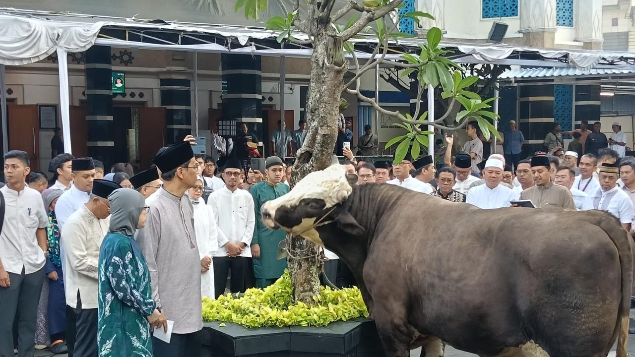 Menkeu Purbaya Kurban 2 Ekor Sapi Pakai Uang Sendiri, Bukan dari APBN