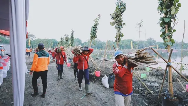 7 Potret Suasana Penanaman Pohon di Kebun Raya Mangrove Pertama di Dunia