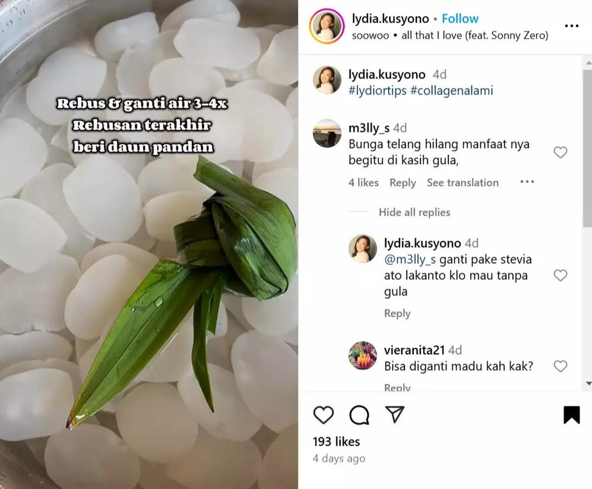 Daun Pandan, Solusi Bau Asam pada Kolang Kaling