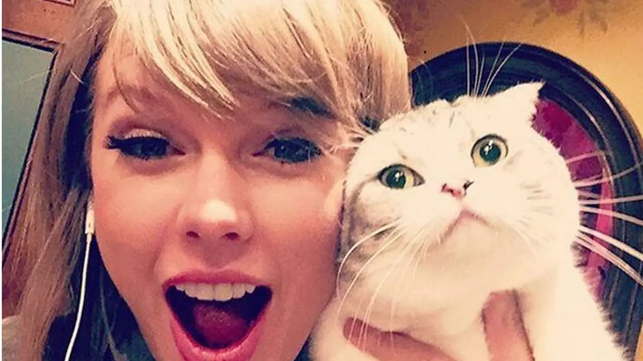 Gemas Banget, 8 Potret Selebritas Terkenal Bersama Kucing Kesayangan
