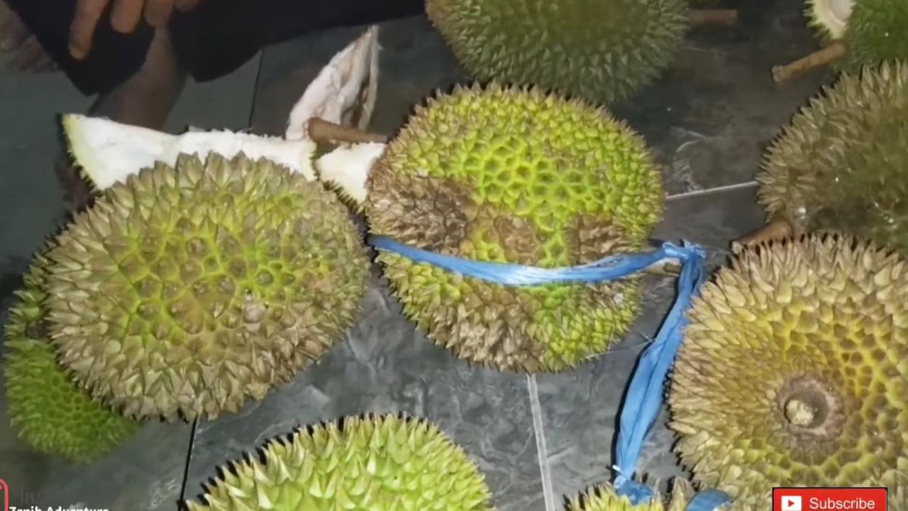 Tumbuh di Kecamatan Salopa