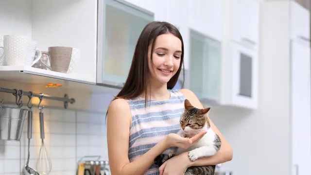 Cara Kucing Berkomunikasi 