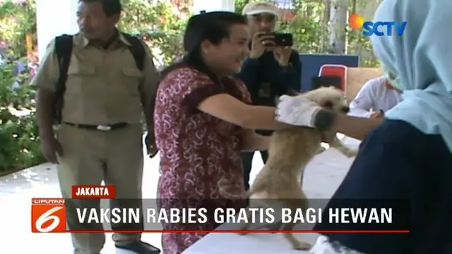 Pemprov DKI Jakarta memberikan vaksin gratis bagi hewan penular rabies. Kegiatan tersebut digelar serentak di lima kota wilayah ibu kota, termasuk Jakarta Utara.