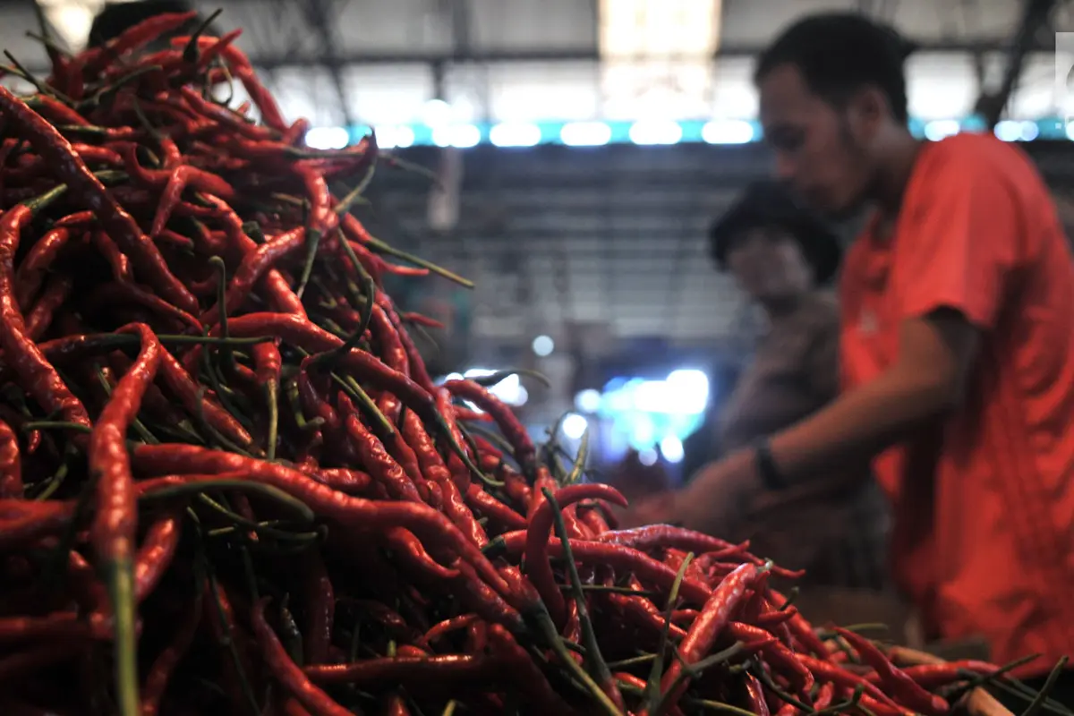 Harga Cabai di Pasar Induk Kramat Jati