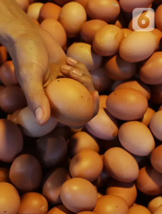 Aktivitas jual beli telur di pasar Kebayoran Lama, Jakarta, Kamis (5/7/2020). Sebenarnya telur ayam infertil atau telur HE layak konsumsi, namun lebih cepat membusuk karena berasal dari ayam betina yang sudah dibuahi pejantan sehingga seharusnya tak diizinkan dijual bebas (Liputan6.com/Johan Tallo)