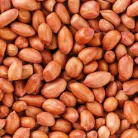 kacang tanah (sumber: freepik)