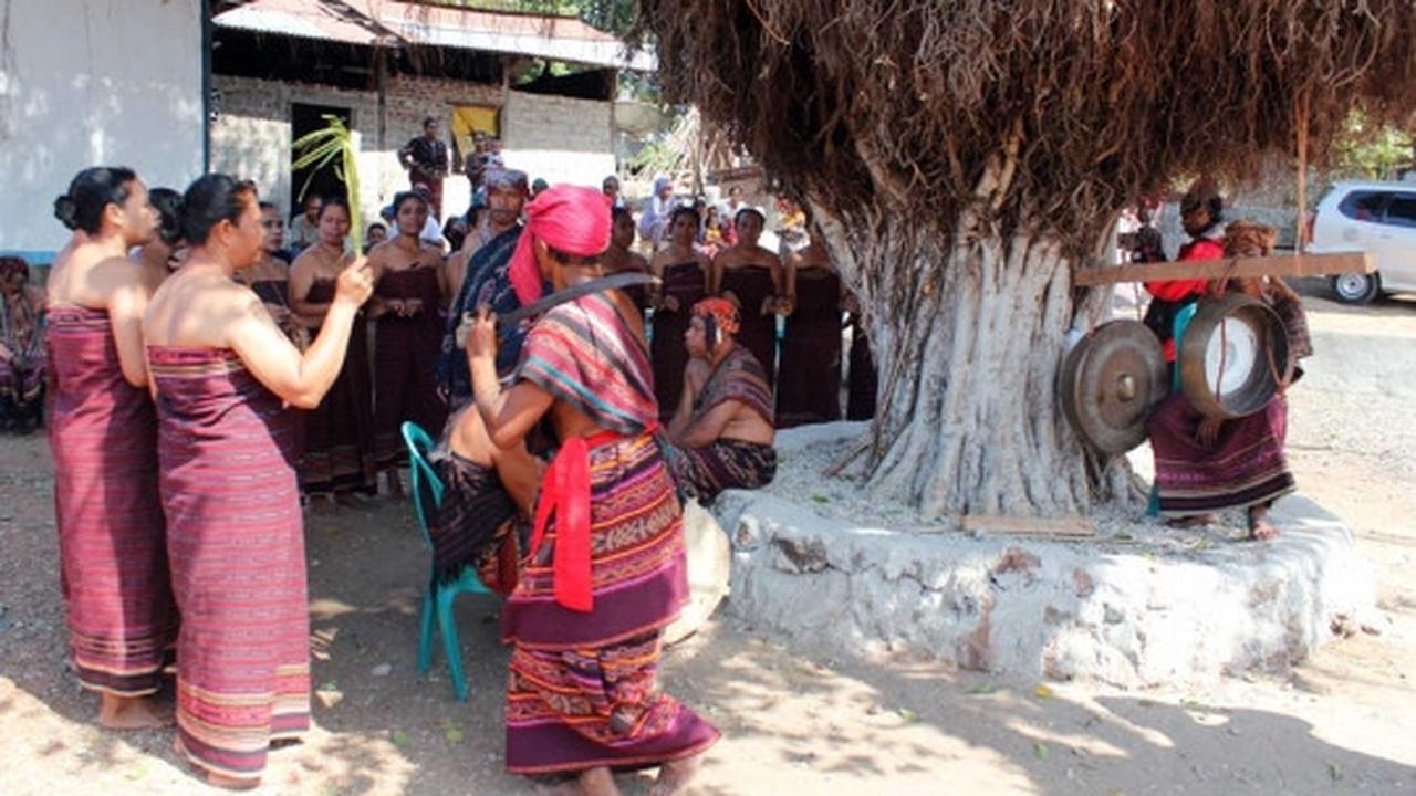 Menyaksikan Pou Hari, sajian penguasa laut suku pedalaman Alor