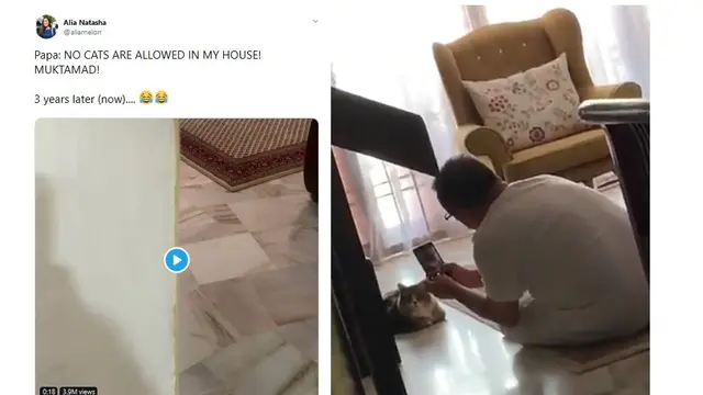 7 potret kedekatan ayah dan kucing