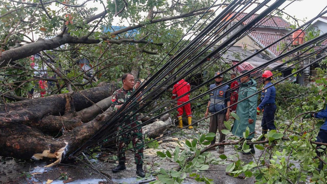 FOTO: Penampakan Pohon Raksasa Tumbang di Pertigaan Jalan Depok, Bangunan Rusak dan Lalu Lintas Lumpuh
