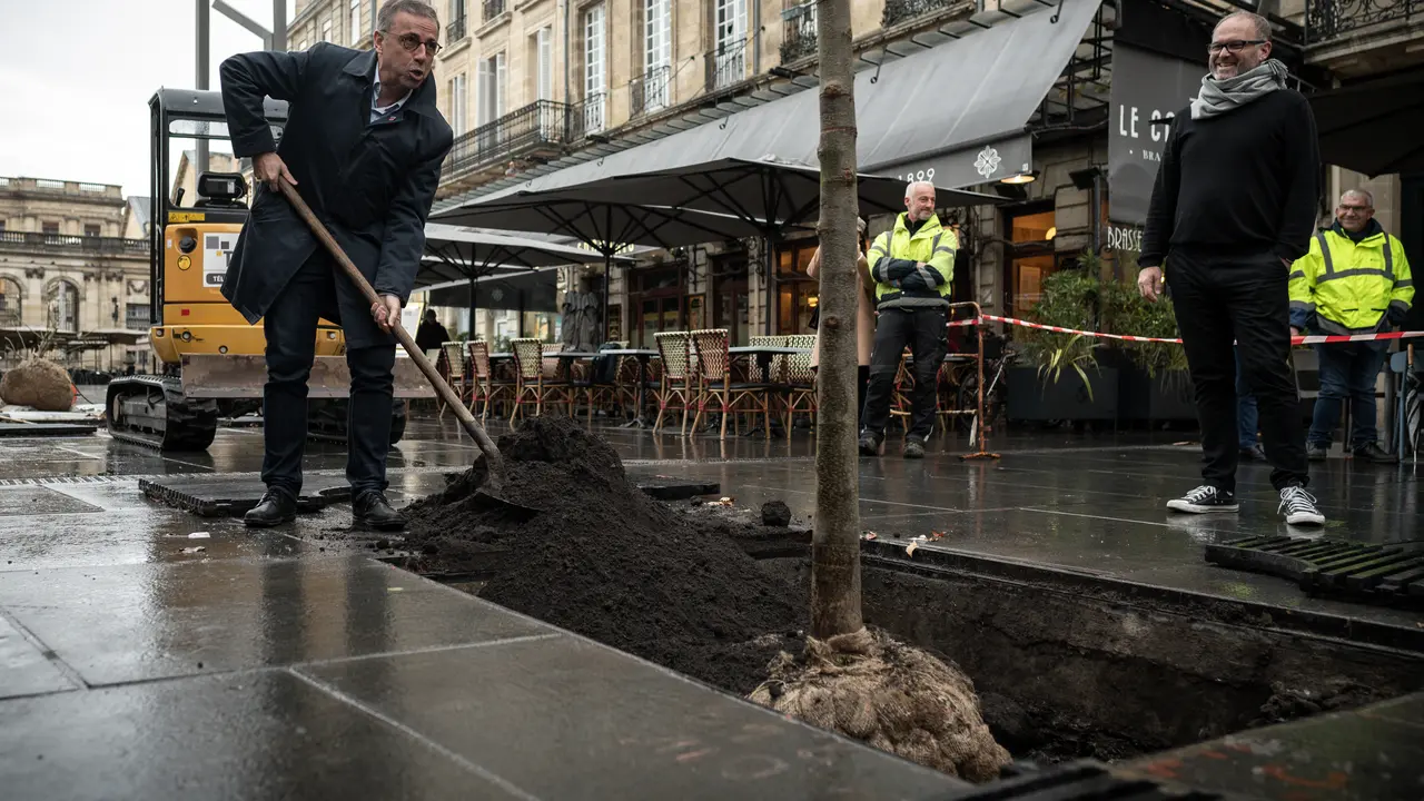 Penanaman Pohon Cegah Pemanasan Global di Kota Bordeaux