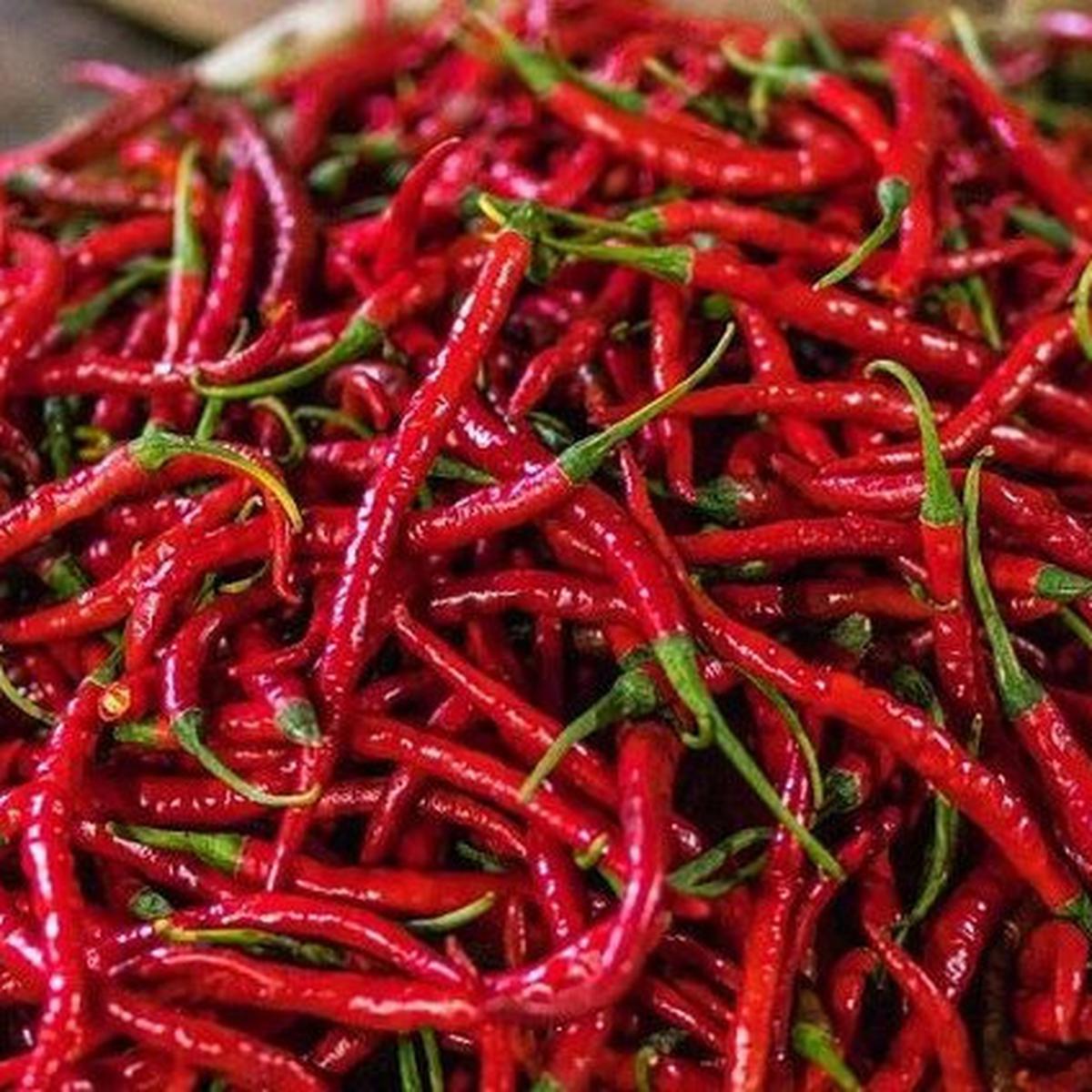 Cabe Merah