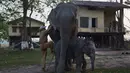 Seorang mahout atau pawang gajah hendak menaiki gajah untuk berpotroli di Suaka Margasatwa Pobitora di negara bagian Assam, India (18/3). (AP Photo / Anupam Nath)