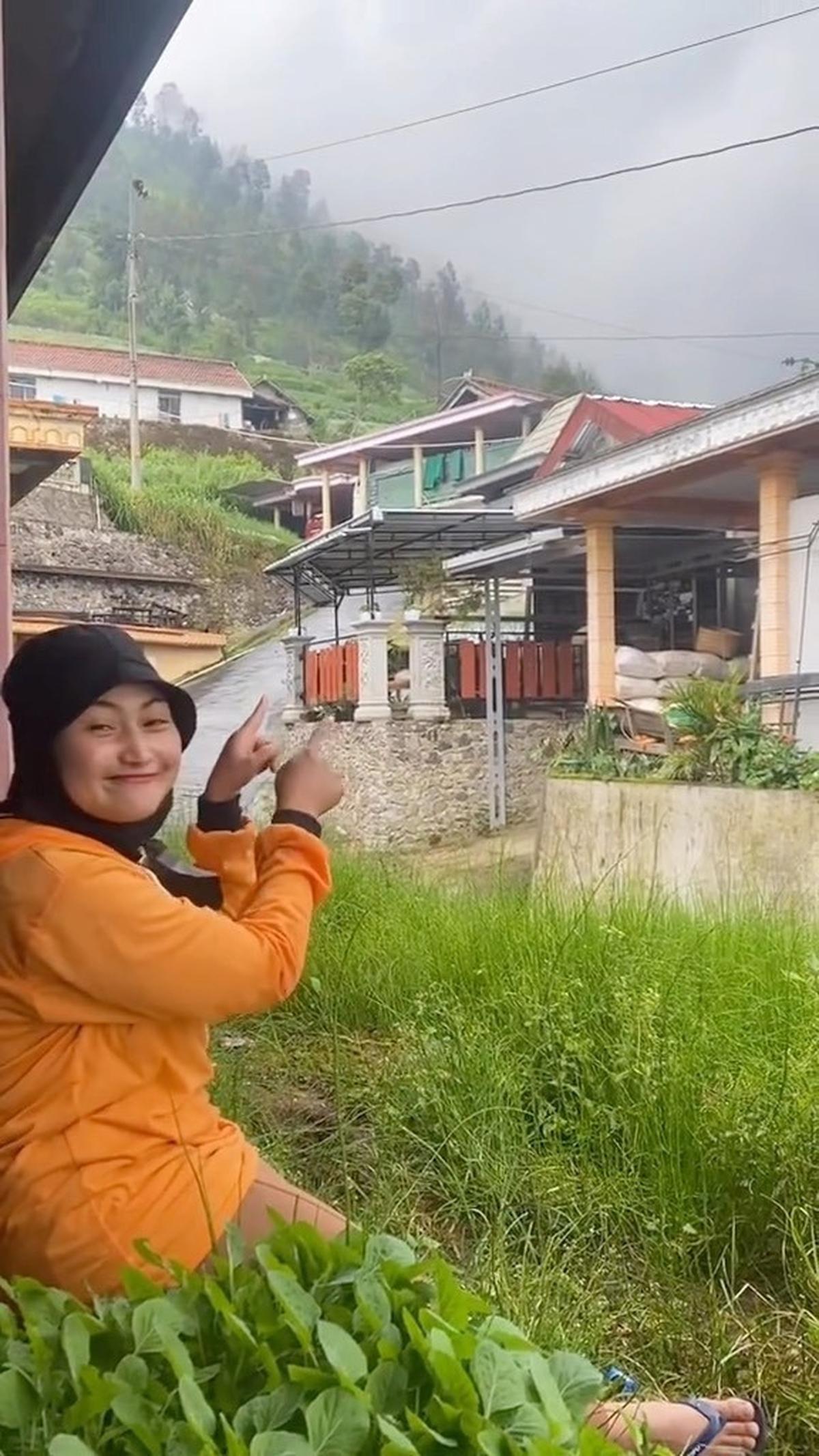 Pemandangan Pedesaan
