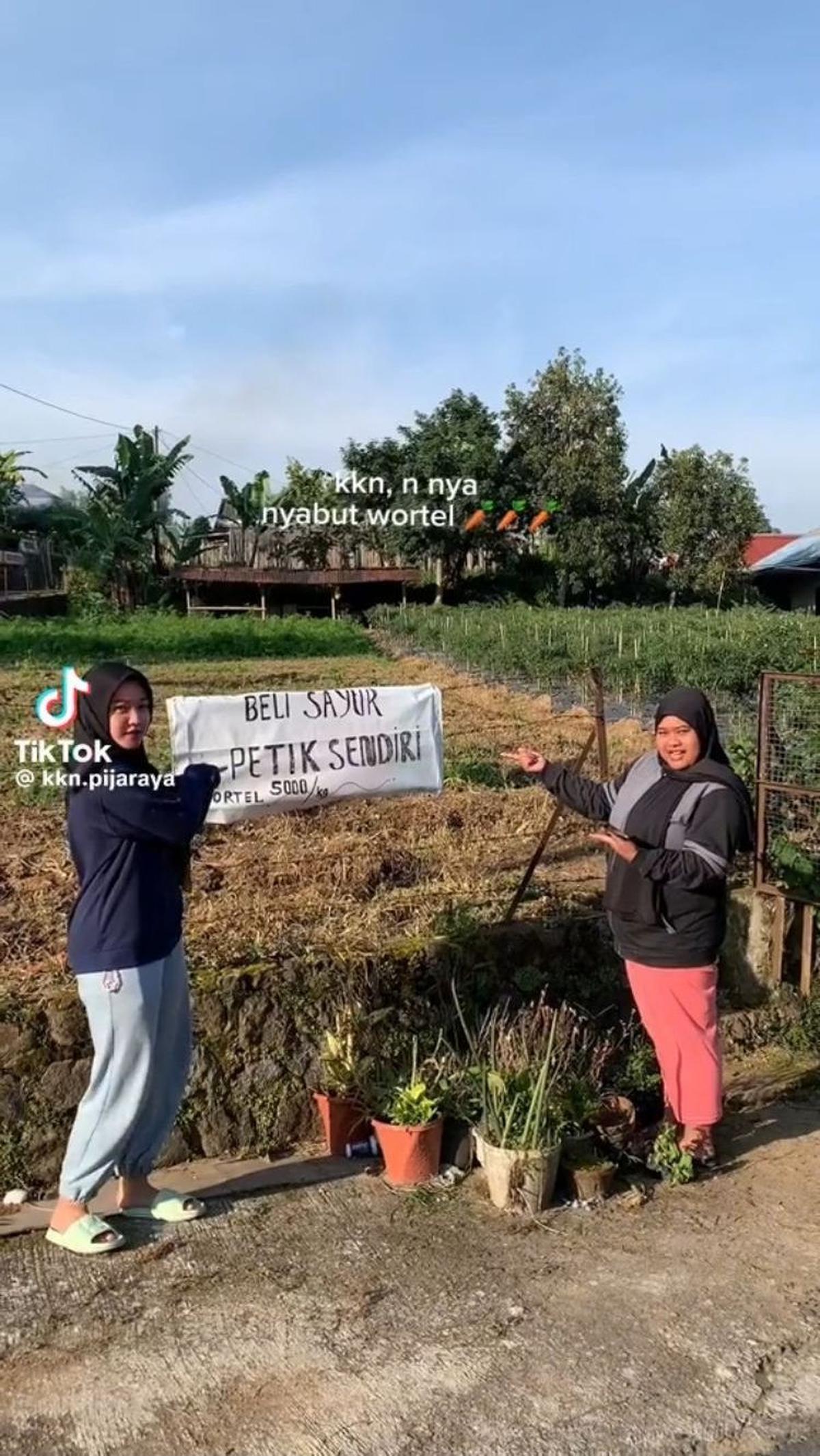 "KKN, N nya nyabut wortel," tulisnya di awal video tersebut.