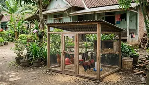 Cara membuat kandang ayam mini dari jaring. [Gemini AI]