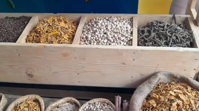 BRIN Dorong 19 Obat Herbal untuk Naik Kelas