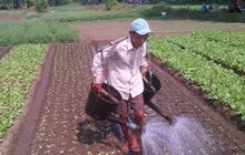 BPN diminta siapkan 4,8 juta Ha lahan pertanian