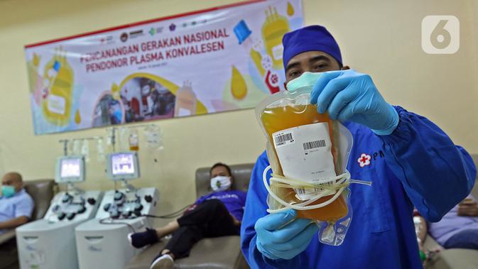 Petugas medis menunjukkan plasma konvalesen hasil donor dari penyintas COVID-19 di PMI DKI Jakarta, Selasa (19/1/2021). Sebanyak 307 penyintas COVID-19 per 1 hingga 15 Januari 2021 telah mendonorkan plasma konvalesen. (Liputan6.com/Herman Zakharia)