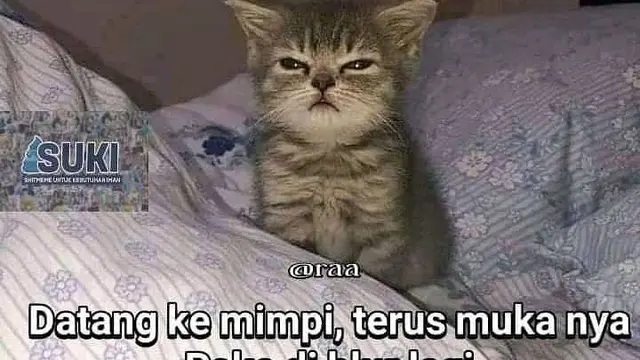 7 Meme Mimpi Kocak Enggak Masuk Akal Ini Banyak Dialami Orang