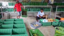 Dalam sebulan dihasilkan lebih kurang 200 kg maggot yang dijual kepada warga sekitar dengan harga Rp8 ribu hingga Rp10 ribu per kilogramnya. (Merdeka.com/Arie Basuki)