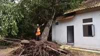 Puting Beliung Mengejutkan di Cirebon, 200 Rumah Rusak