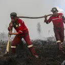 Suarakan Karhutla, Sejumlah Publik Figur Keluhkan Pembatasan Akun