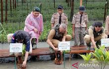Pemprov Sumut Gencarkan Penanaman Mangrove 8.307 Hektare, Wujudkan Lingkungan Lestari