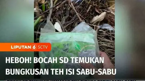 VIDEO: Bocah SD Temukan Bungkusan Teh Diduga Berisi Sabu di Pesisir Pantai