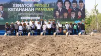 Wujudkan Swasembada Pangan, Kementan dan DPD Tanam Jagung di 4 Provinsi