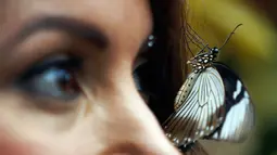 Seekor kupu-kupu hinggap di wajah Jessie saat sesi foto di Wisley Gardens, Inggris (12/1). Ditempat ini kupu-kupu beraneka jenis dan spesies dijaga dan dibiarkan terbang bebas. (AP Photo / Frank Augstein)