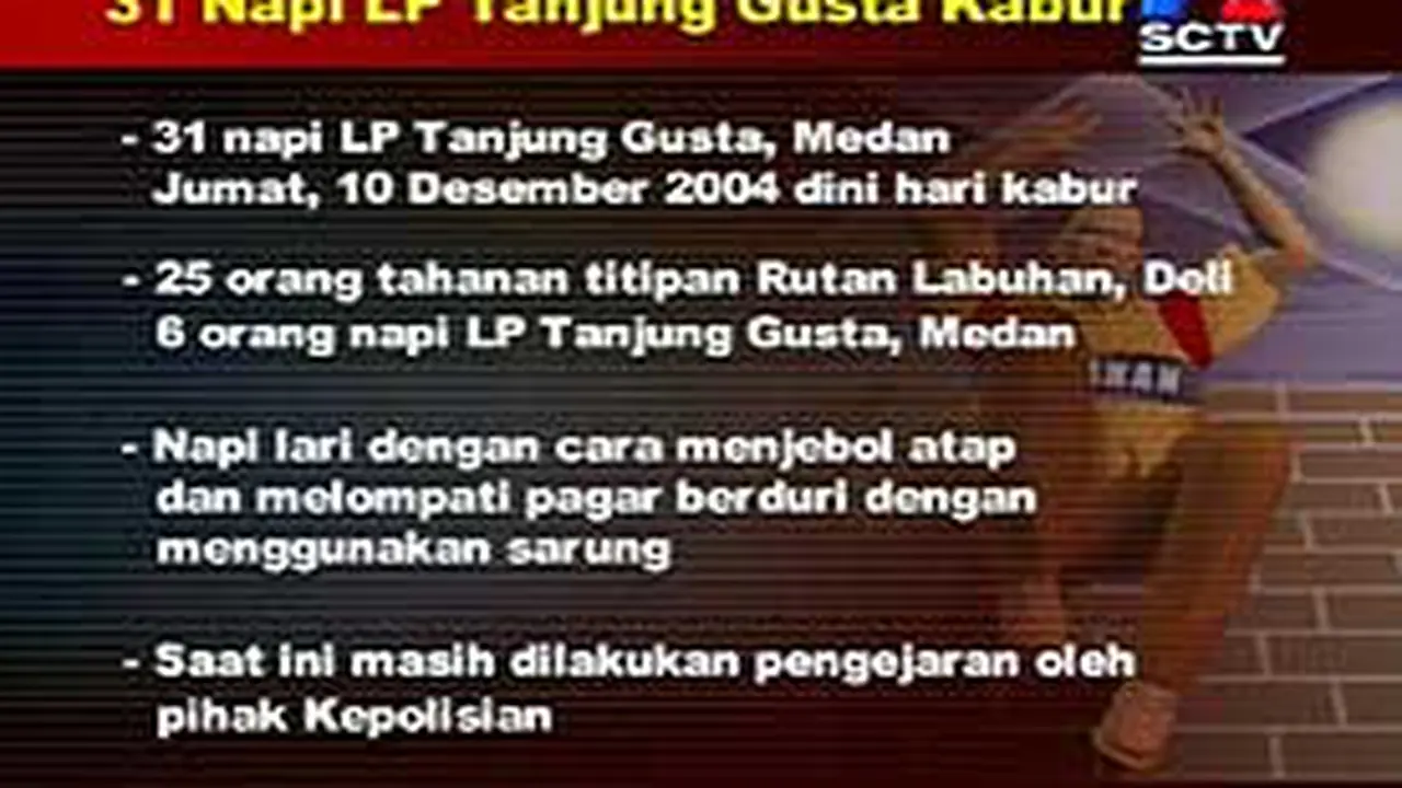 101204bNapi_lari.jpg