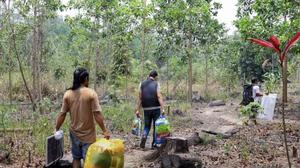 Lahan Sawit Ilegal Ditemukan di Bukit Tengkorak