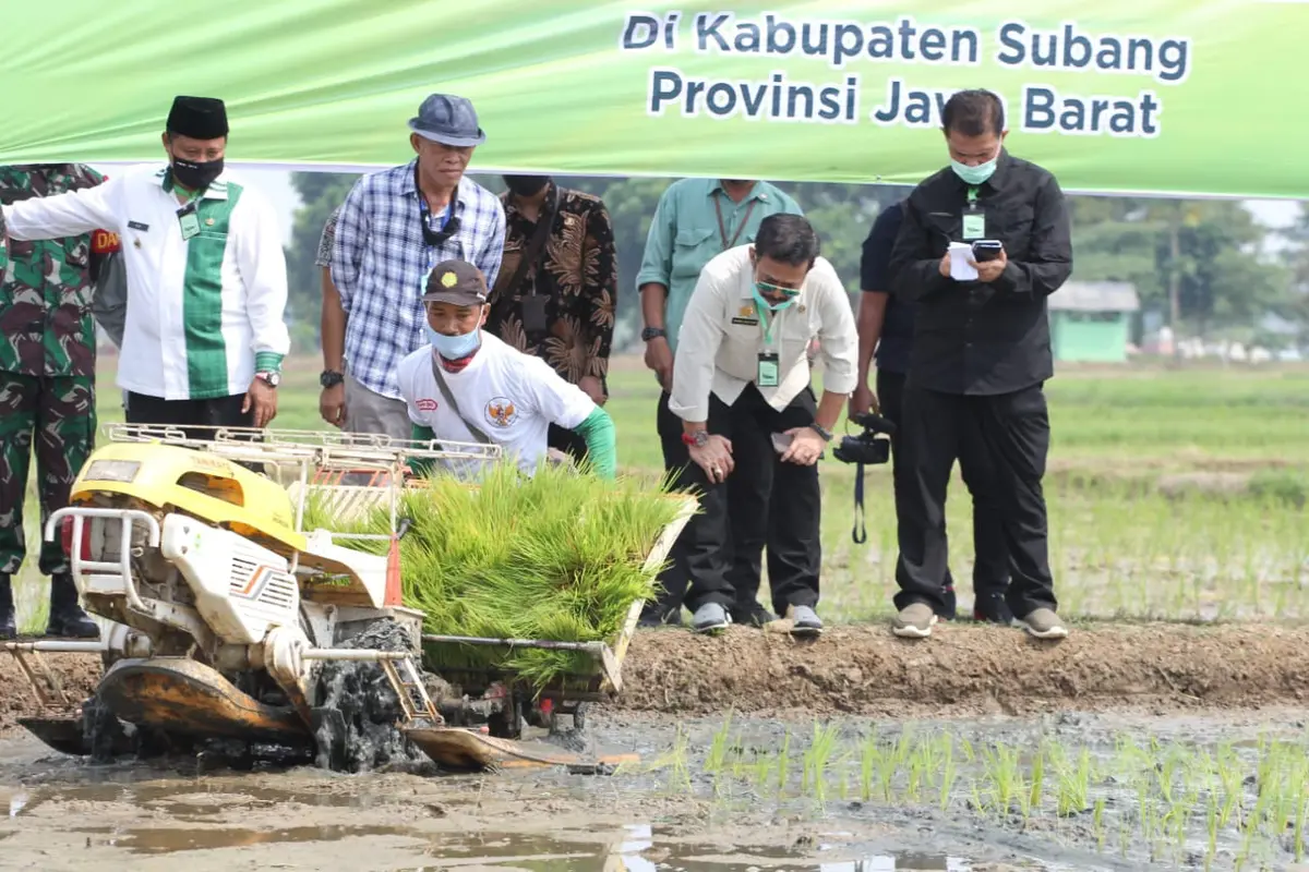 Sinergi dengan Kementan Berjalan Baik, Inilah 10 Besar Provinsi Penghasil Beras