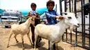 Anak-anak Yaman berpose dengan kambing di pasar ternak menjelang Idul Adha di ibu kota Sanaa, 6 Agustus 2019. Umat Islam di seluruh dunia akan merayakan Idul Adha yang identik dengan tradisi berkurban menggunakan hewan seperti kambing, domba, unta, sapi dan kerbau. (MOHAMMED HUWAIS/AFP)