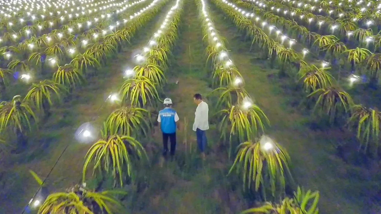 Program Electrifying Agriculture