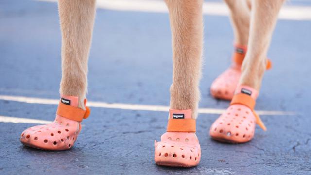 Piala Dunia Antarklub 2025