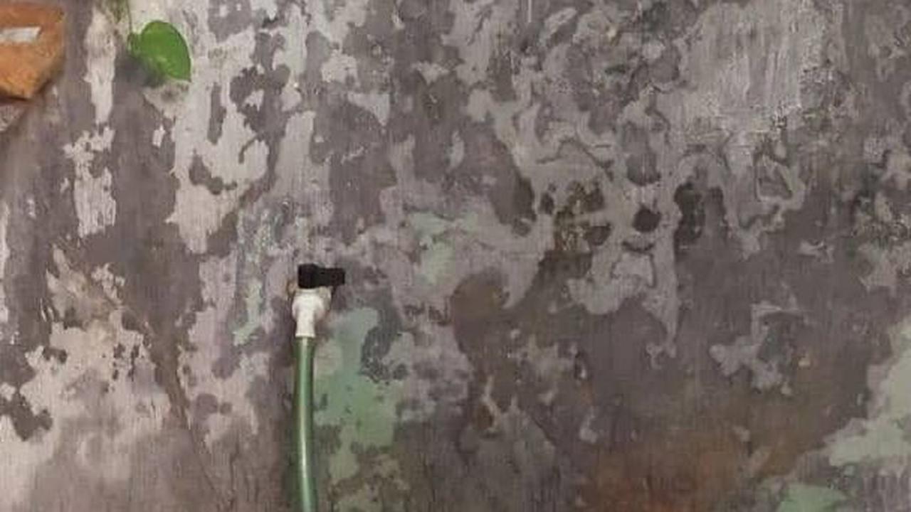 Efektif Hilangkan Bau Pesing Menyengat