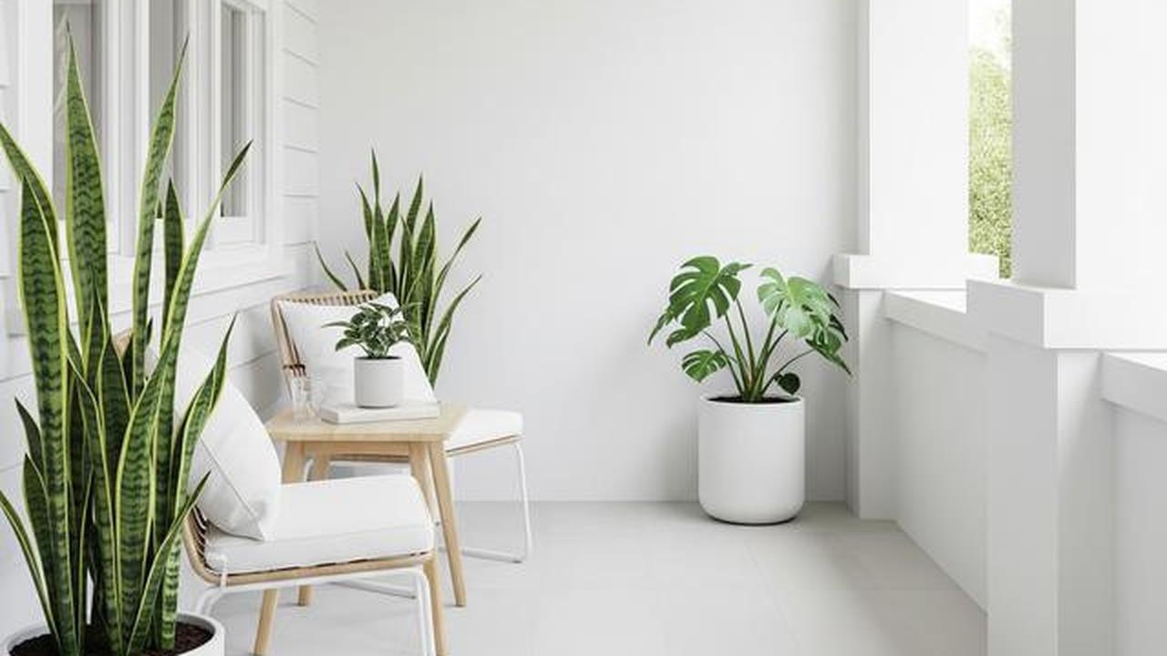 7 Model Teras Depan Rumah Sempit yang Bisa Jadi Ruang Santai Multifungsi