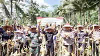 Perkuat Ketahanan Pangan Nasional, Banyuwangi Sukses Gelar Panen Raya Jagung Kuartal II