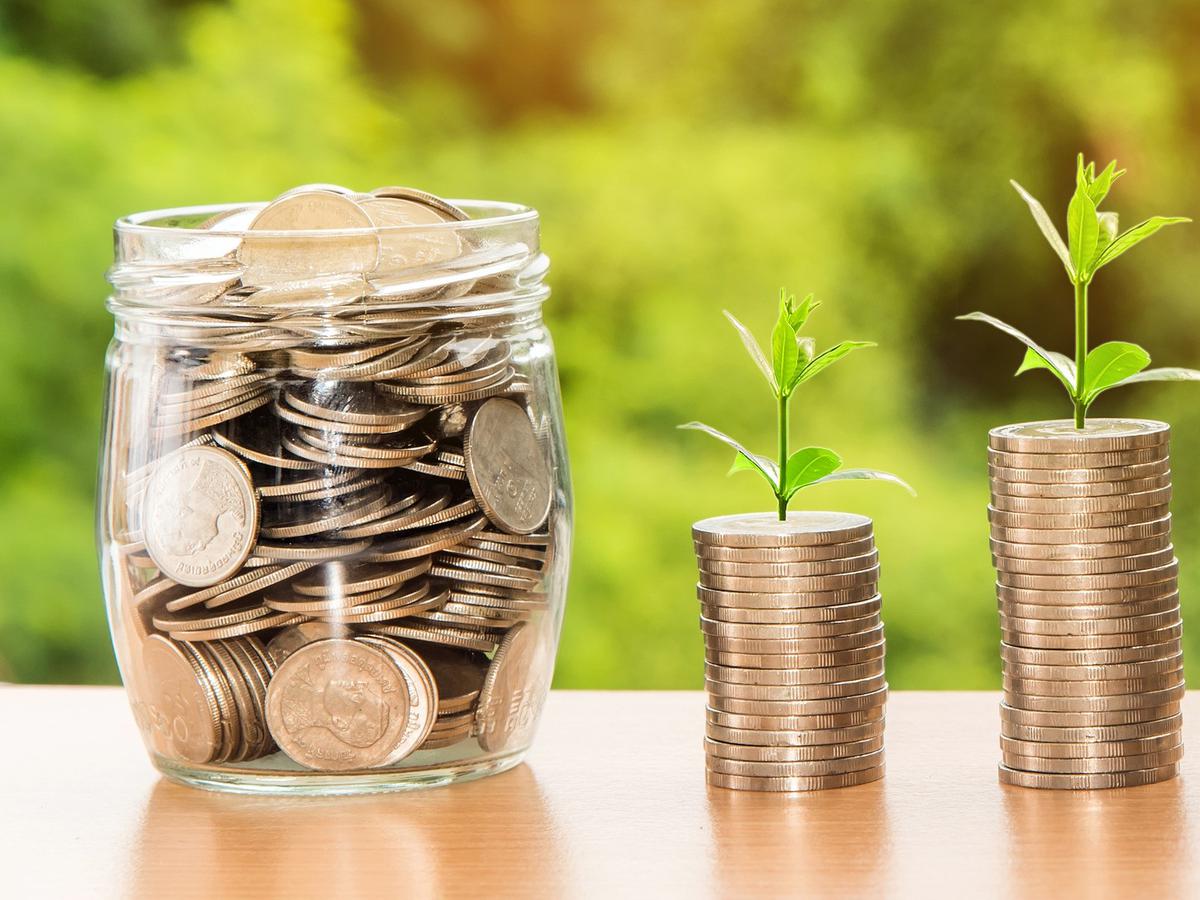 3 Jenis Investasi untuk Pemula yang Menguntungkan, Cocok ...