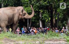Tarif Ragunan Diusulkan Naik jadi Rp 10 Ribu, Ini Alasannya