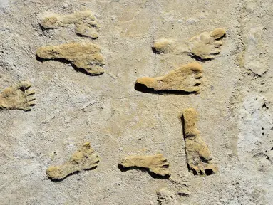 Gambar tak bertanggal terlihat fosil jejak kaki di New Mexico. Menurut penelitian yang diterbitkan pada 23 September 2021, jejak kaki berusia 23.000 tahun itu menunjukkan manusia menetap di Amerika Utara jauh sebelum akhir Zaman Es terakhir. (HO/National Park Service and Bournemouth University/AFP)