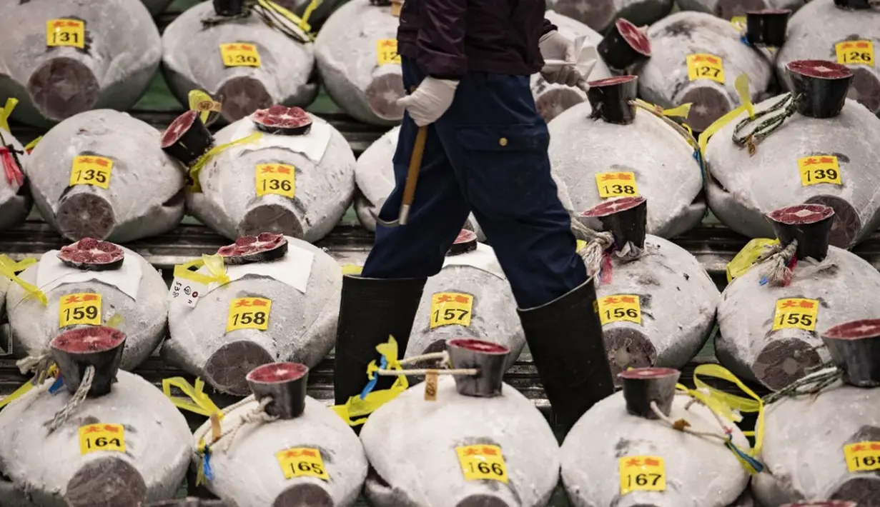 Seorang tengkulak berjalan melewati deretan tuna beku di Pasar Toyosu, Tokyo, Jepang, 5 Januari 2021. Untuk lelang tahun ini, penonton tidak diizinkan untuk menghadiri acara tersebut. (Philip FONG/AFP)
