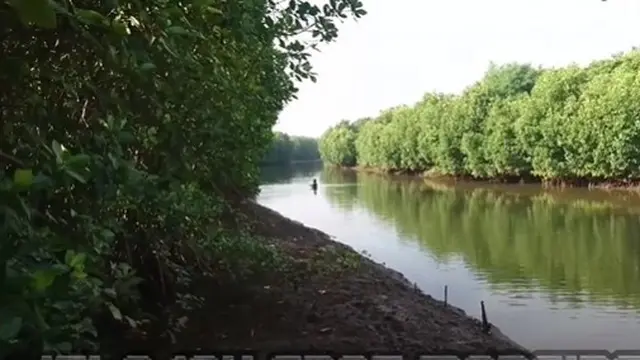 Muara Kalisodo (YouTube/BC Studio Malang)