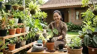 7 Ide Usaha Rumahan untuk Ibu Rumah Tangga yang Tidak Boros Listrik, Untung Bersih